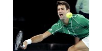  Komoly felháborodást váltott ki Djokovic orvosi felmentése Ausztráliában  