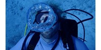  100 napig marad a víz alatt egy amerikai tudós – új fajt is felfedezett a rekordkísérlet alatt  