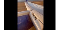  Felszállt a United Airlines Boeing 757-ese, majd elkezdett szétesni a szárnya – videó  