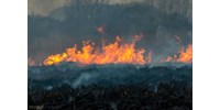  15 hektáron lángolt a nádas Fonyódnál  