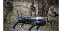  Gondolattal irányítható robotkutyát fejlesztett az ausztrál hadsereg – videó  