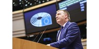  „Arra várunk, hogy ellenzéki politikusok essenek ki az ablakon?” – az EP-ben vitáztak az „átláthatósági” törvényről  