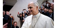  Feltérképezték XIV. Leó pápa családfáját  