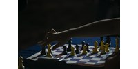  Polyánszky Zoltán filozófus a sakkszövetség új elnöke  