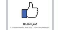  A Facebooknak megint gondja támadt az adatvédelmi szabályokkal, most 265 millió euróra büntették őket  