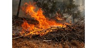  Spanyolországban napok óta küzdenek a lángokkal – képek  