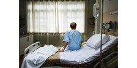  Egy friss kutatás szerint a magyarok négyötöde eutanáziapárti  