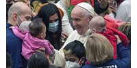  Ferenc pápa: Egoizmus, hogy sokaknál a háziállatok foglalták el a gyermekek helyét  