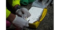  4300 kilogramm kokaint fogalaltak le az olasz hatóságok Triesztben  
