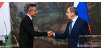  „Nehéz pillanatokat okoz”, hogy Szijjártó Moszkvába jár, mondta a lengyel nagykövet  