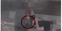 Videón, ahogy egy visszaeső tolvaj kirámol két padon szundító férfit a Móriczon  