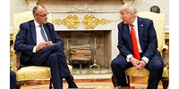 „Ez önöknek nem lehetett túl kellemes nap” - Donald Trump ismét magát hozta, amikor vendégül látta a német kancellárt a D-nap évfordulóján  