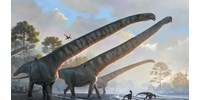  15 méteres nyaka volt egy most azonosított dinoszaurusznak – hatszor hosszabb, mint egy zsiráfé  