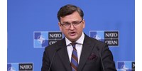  Az ukrán külügyminiszter arra kéri a NATO-tagokat, hogy küldjenek fegyvereket  