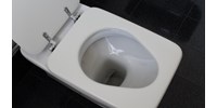  Figyelmeztetnek az orvosok: ezeket a betegségeket kockáztatja az, aki 10 percnél több időt tölt a WC-n  