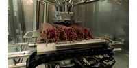  Gyártói szerint húsízű lett az első 3D-nyomtatott műhús  