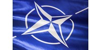 Svéd hadügyminiszter a NATO-ról: az Ukrajna elleni agresszió alapvetően megváltoztatta a helyzetet  