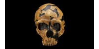  20 méter magasan lévő barlangban bukkantak a neandervölgyi ember nyomára  