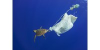  ?Ez sokkoló mennyiség?: 3760 tonna műanyaghulladék lebeg a Földközi-tenger felszínén  