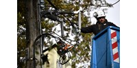  Erős viharok csaptak le Csehországra, több ezer háztartás maradt áram nélkül  