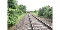  Halálra gázolt a vonat egy síneken fekvő embert Zamárdiban  