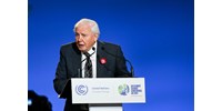  A 95 éves David Attenborough mondta el a klímacsúcs legforróbb beszédét  