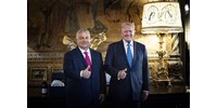  Orbán Viktor „a béke lehetőségeiről” tárgyalt Donald Trumppal Floridában  