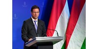  Kormányinfó: Hogyan húzza ki a kormány a bajból a magyar gazdaságot?  