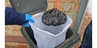  72 ezer adag kábítószert foglaltak le a rendőrök az újszászi dílereknél, a kukában is drogot találtak  