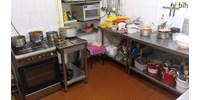 Balatoni vendéglátókat ellenőrzött a Nébih: négy esetben eljárás indult