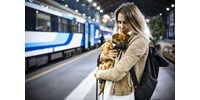 Vége a tesztidőszaknak, mostantól sokkal egyszerűbb kutyával utazni az InterCityken