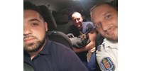  Kengurut üldöztek a csepeli rendőrök, végül sikerült az állatot biztonságba helyezni (persze nem a rendőrök elől)  