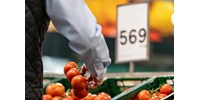 Tényleg Nagy Márton egymaga töri le az élelmiszerárakat? – ez a hvg.hu novemberi bevásárlókosara
