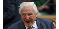  Tengerre száll David Attenborough a 99. születésnapján, hogy átadja eddigi legfontosabb üzenetét  
