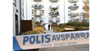  Több városban csaptak le egyszerre a svéd hatóságok terrortámadás előkészítésével vádolt iszlamistákra  