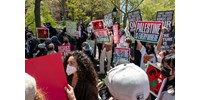  New York után a Kaliforniai Egyetemen is rohamrendőrökkel vetettek véget a palesztinpárti tüntetésnek  