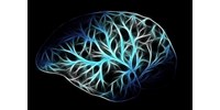  Percenként 62 szót „olvas ki az agyból” az új agy-számítógép interfész, ez 3,4-szer gyorsabb, mint ahogy eddig ment  