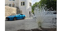  Pávák, múmiák, szerpentinek és a V8: 1100 kilométeren és 4 országon át AMG kupéztunk  