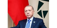  Erdogan: A Hamász tagjai nem terroristák, hanem Isten harcosai, akik a földjüket védik  