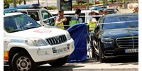  Lelőtték Janukovics volt ukrán elnök egy közeli emberét Spanyolországban  