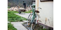 AM: Van elég tűzifa a lakosságnak