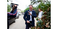  „Te eddig a kormány seggét nyaltad, úgyhogy ne mémeskedj” - beleállt egy kommentelő Németh Kristófba, miután Mészáros Lőrinctől idézett, a válasz sem maradt el  