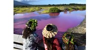  Rózsaszínűvé vált egy tó Mauin a szárazság miatt – fotók  