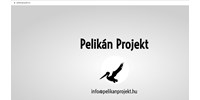 Pelikán Projekt néven alapított céget Mészáros Zsófia, a 444 volt vezető szerkesztője