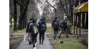 Migránsbandák lövöldöztek egymásra a szerb-magyar határ közelében, többen meghaltak  