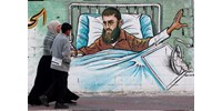  86 napos éhségsztrájk után meghalt Kader Adnan  