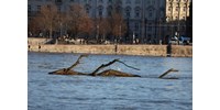  Már 500 kilométeren van árvízi készültség, Budapesten szombaton tetőzik a Duna  