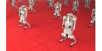  Videón, ahogy egyszerre pitizik több tucat robotkutya  