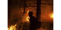  Tűztornádó alakult ki Kaliforniában, videóra vette egy tévéstáb  