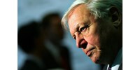  Királyi kitüntetést kapott David Attenborough  